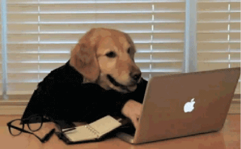 dog-typing-hands